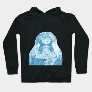 platypus Hoodie